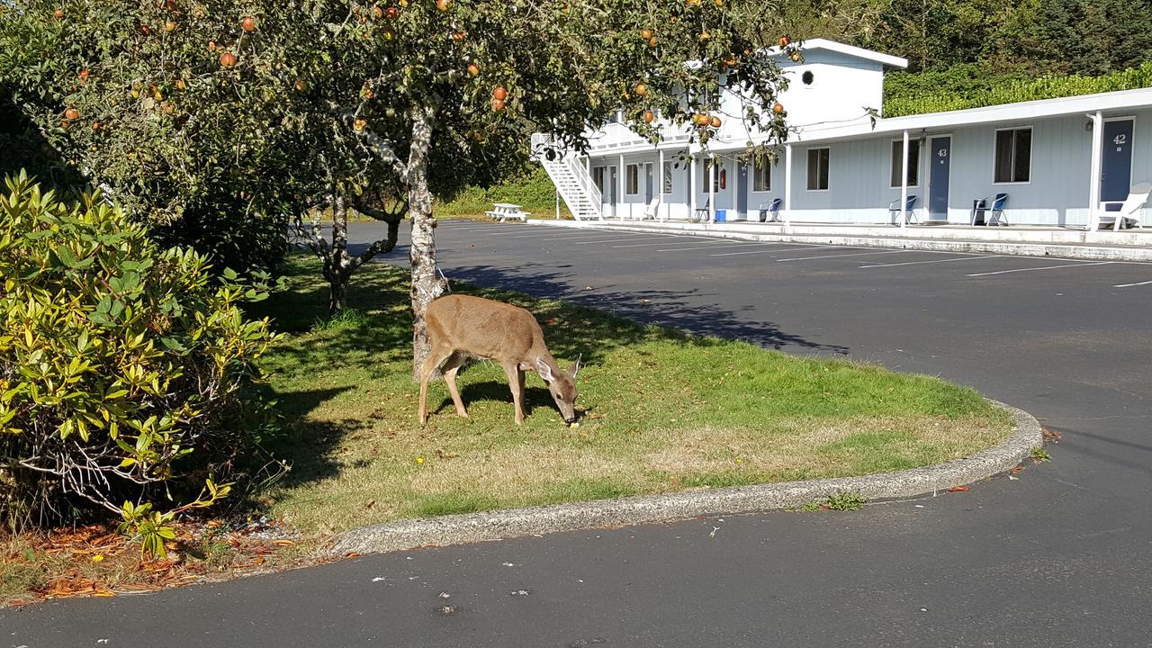 Winchester Bay Inn Reedsport Cameră foto